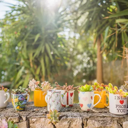 By The Sea Lumbarda, Korcula - 4446 *
