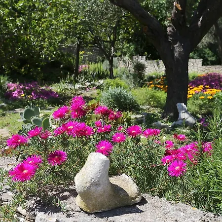 By The Sea Lumbarda, Korcula - 4446 * לומבארדה