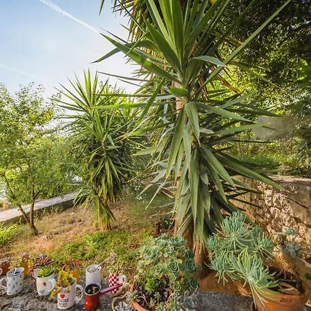 By The Sea Lumbarda, Korcula - 4446